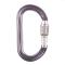 Petzl OK Aluminum Oval Carabiner