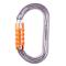 Petzl OK Aluminum Oval Carabiner