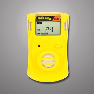Gas Detection & Protection from GME Supply